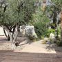 Frederick Loewe Estate