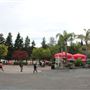 Six Flags Discovery Kingdom