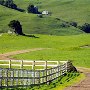 J G Angus Ranch