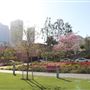 Gloria Molina Grand Park