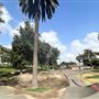 Edward Vincent Park