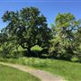 Crane Creek Regional Park
