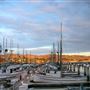 Spud Point Marina