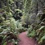 Stillwater Cove Regional Park