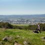 Taylor Mountain Regional Park
