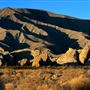 Anza-Borrego Desert State Park (SP)