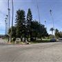 Hollywood Forever Cemetery