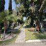 Hollywood Forever Cemetery