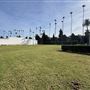 Hollywood Forever Cemetery