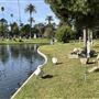 Hollywood Forever Cemetery