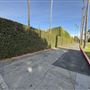 Hollywood Forever Cemetery