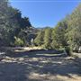 Camp Williams Resort