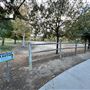 Central Park