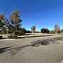 Central Park