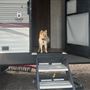 2020 Colman Lantern 250 TQ Toy Hauler Camper
