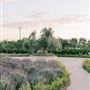 Tuscan Rose Ranch