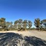 Cheviot Hills Park