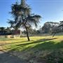 Cheviot Hills Park