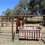 Tejon Ranch