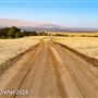 Tejon Ranch