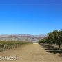 Tejon Ranch
