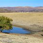 Tejon Ranch