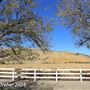 Tejon Ranch