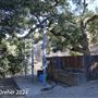 Tejon Ranch