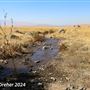 Tejon Ranch