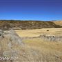 Tejon Ranch