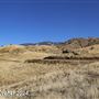 Tejon Ranch