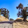 Tejon Ranch