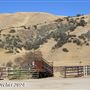 Tejon Ranch