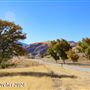 Tejon Ranch
