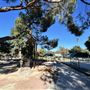 Encino Community Center