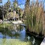 Will Rogers Memorial Park