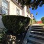 Wattles Mansion & Gardens