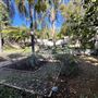 Wattles Mansion & Gardens