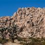 Antelope Valley Indian Museum State Historic Park (SHP)