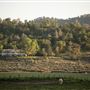 Rankin Ranch - California Cattle & Guest Ranch