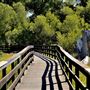 Anderson Marsh State Historic Park (SHP)