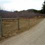 Calico Ranch Apple Orchard