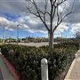 Los Angeles Valley College - LAVC
