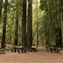 Armstrong Redwoods State Natural Reserve (SNR)