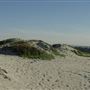 Coronado City Beach