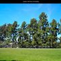 Golden Hill Park