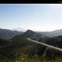 Jamul