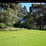 Junipero Serra Museum