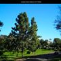 Junipero Serra Museum