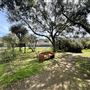 Lummis Home and Gardens